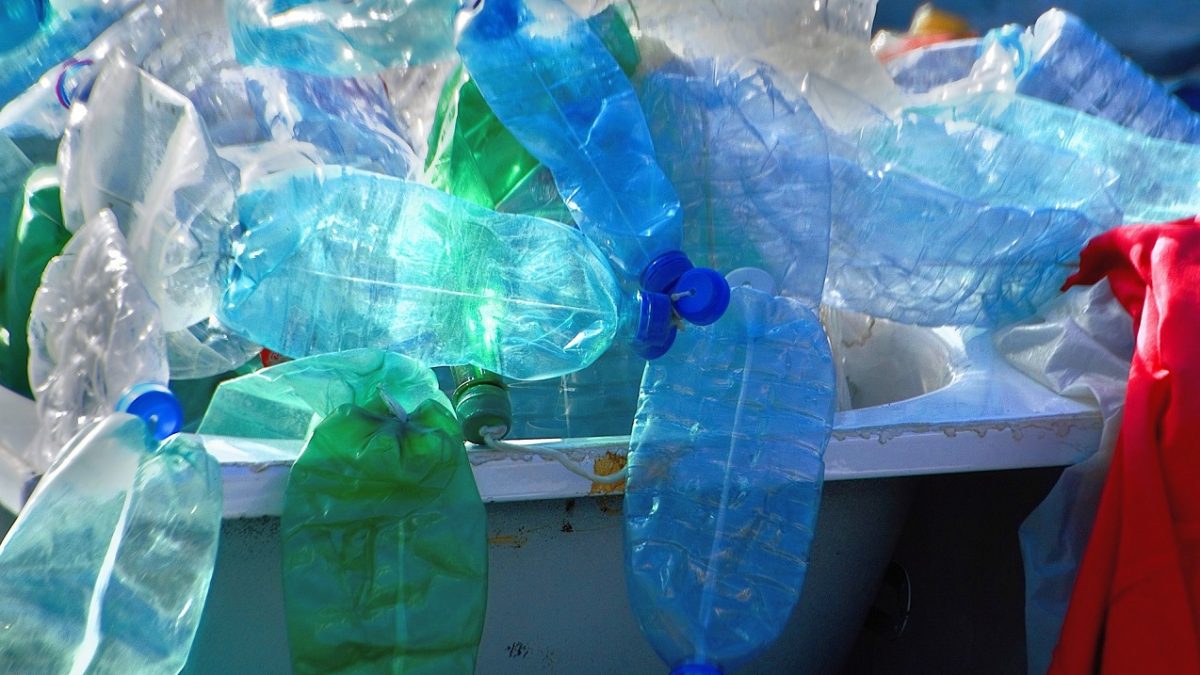 Stop alla vendita di plastica monouso, dal 14 febbraio scatta il divieto: multe salate per i  trasgressori