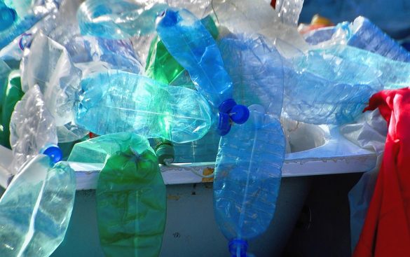 Stop alla vendita di plastica monouso, dal 14 febbraio scatta il divieto: multe salate per i trasgressori