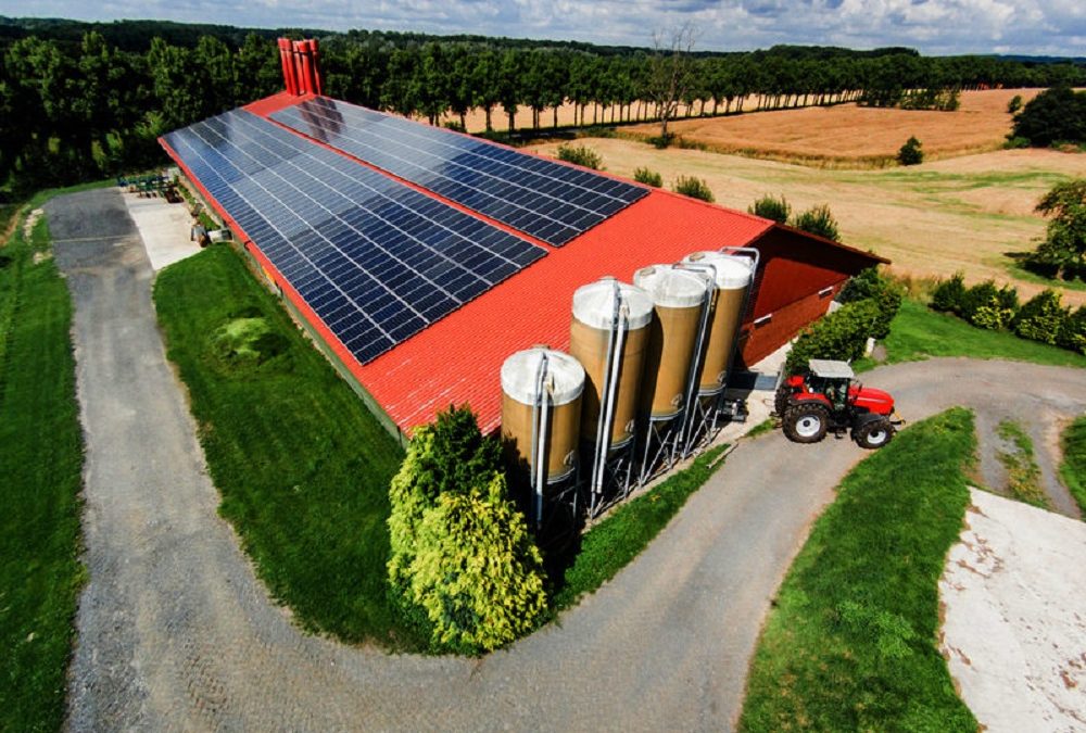 Fotovoltaico sui tetti delle imprese agricole, zootecniche, agroalimentari e agriturismi. 1,5 miliardi dal PNRR